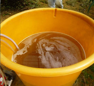 施肥・EM液散布の様子