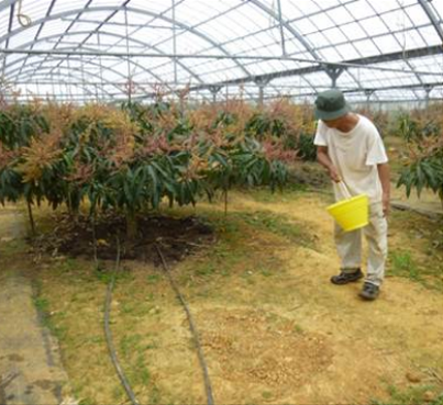 施肥・EM液散布の様子