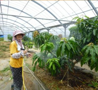 施肥・EM液散布の様子