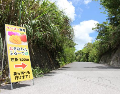 県道84から左折する坂道